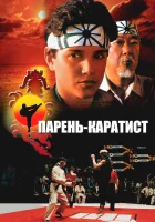 Парень-каратист смотреть онлайн (1984)